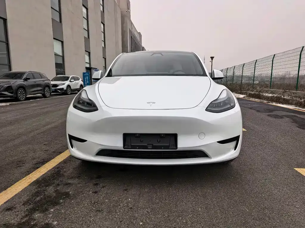 Tesla Model Y 2024 из CN, фото 4