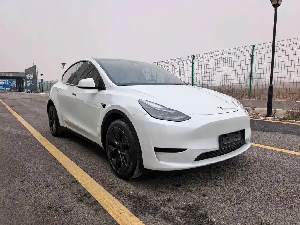Tesla Model Y 2024 из CN, фото 7