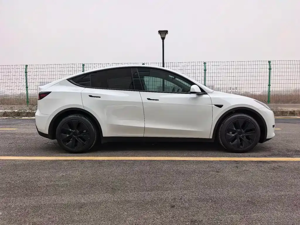 Tesla Model Y 2024 из CN, фото 6
