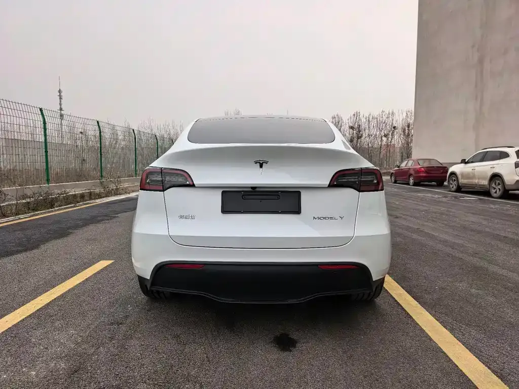 Tesla Model Y 2024 из CN, фото 5