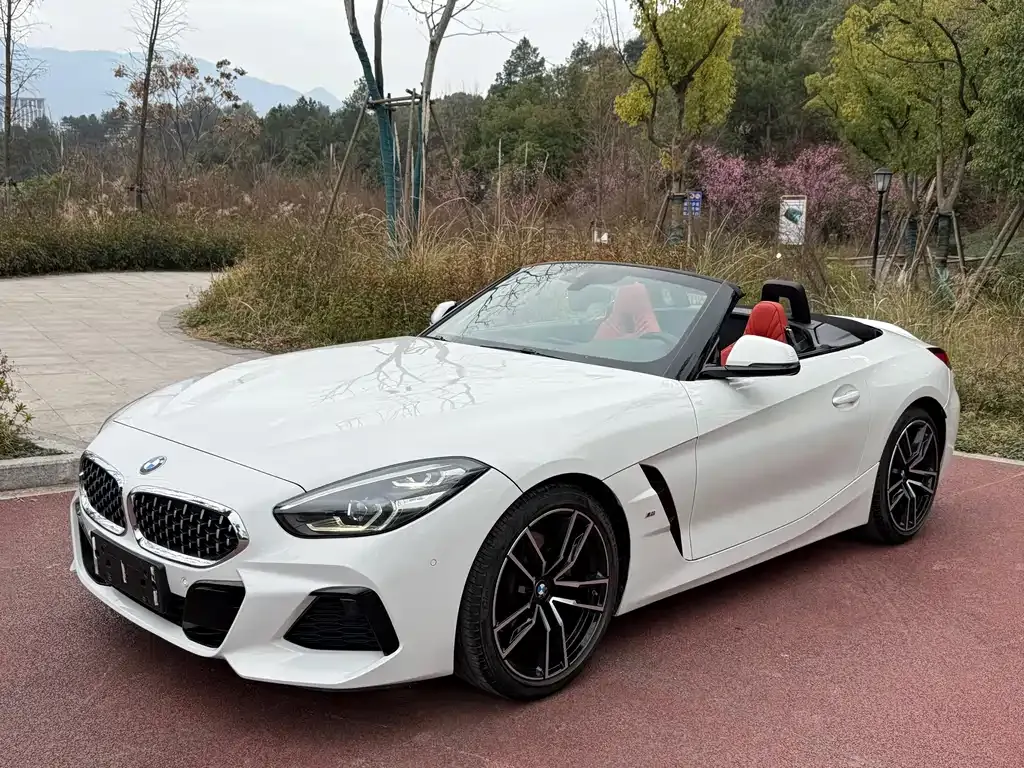 BMW Z4 2021 из CN, фото 1