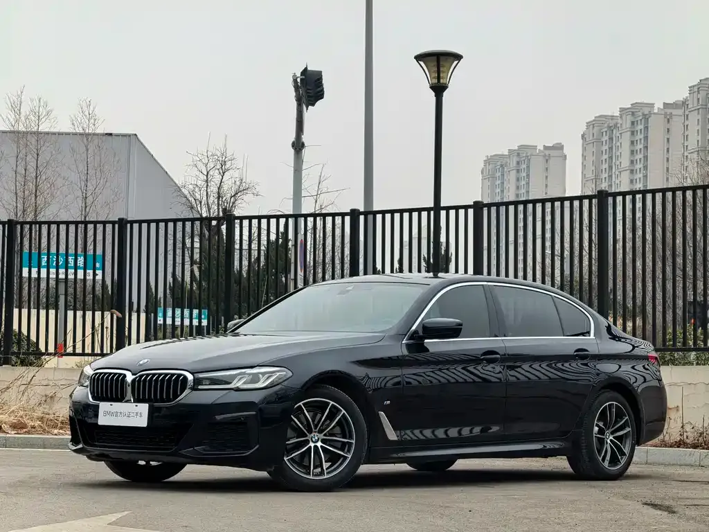 BMW 5 Series 2021 из CN, фото 1