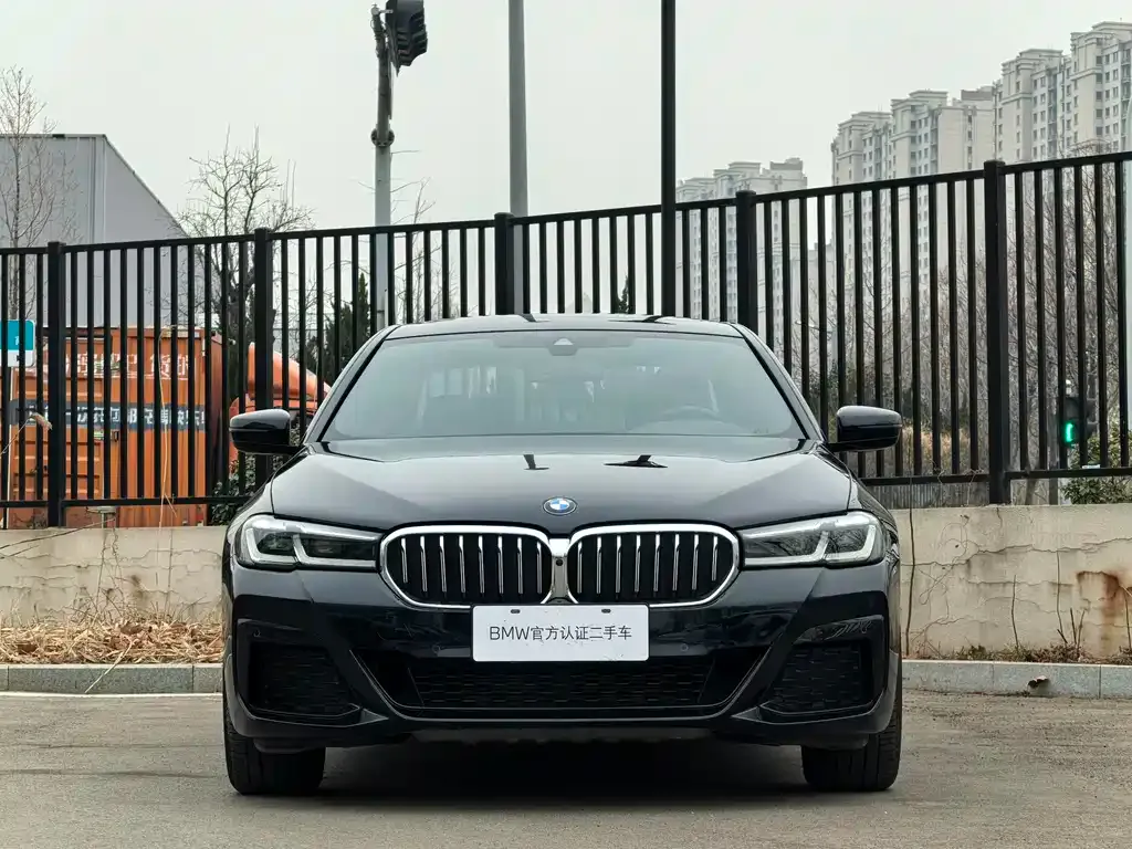 BMW 5 Series 2021 из CN, фото 9