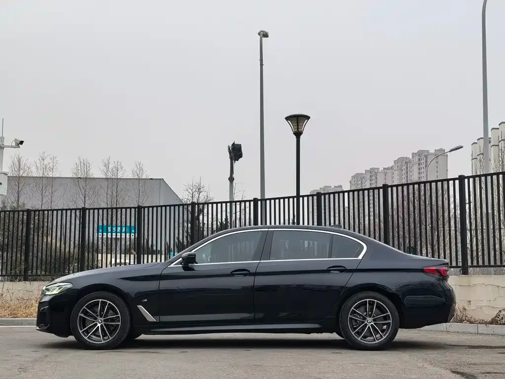 BMW 5 Series 2021 из CN, фото 4