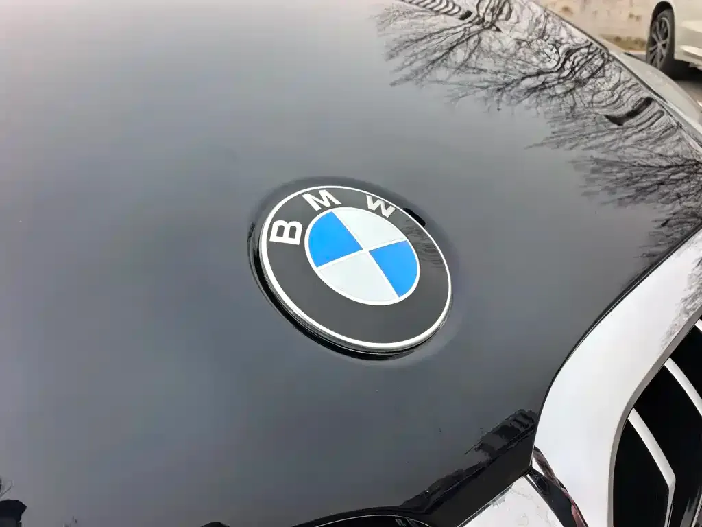 BMW 5 Series 2021 из CN, фото 5