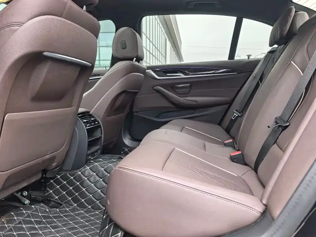 BMW 5 Series 2021 из CN, фото 8