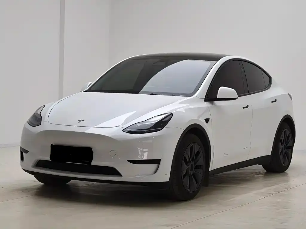 Tesla Model Y 2024 из CN, фото 1