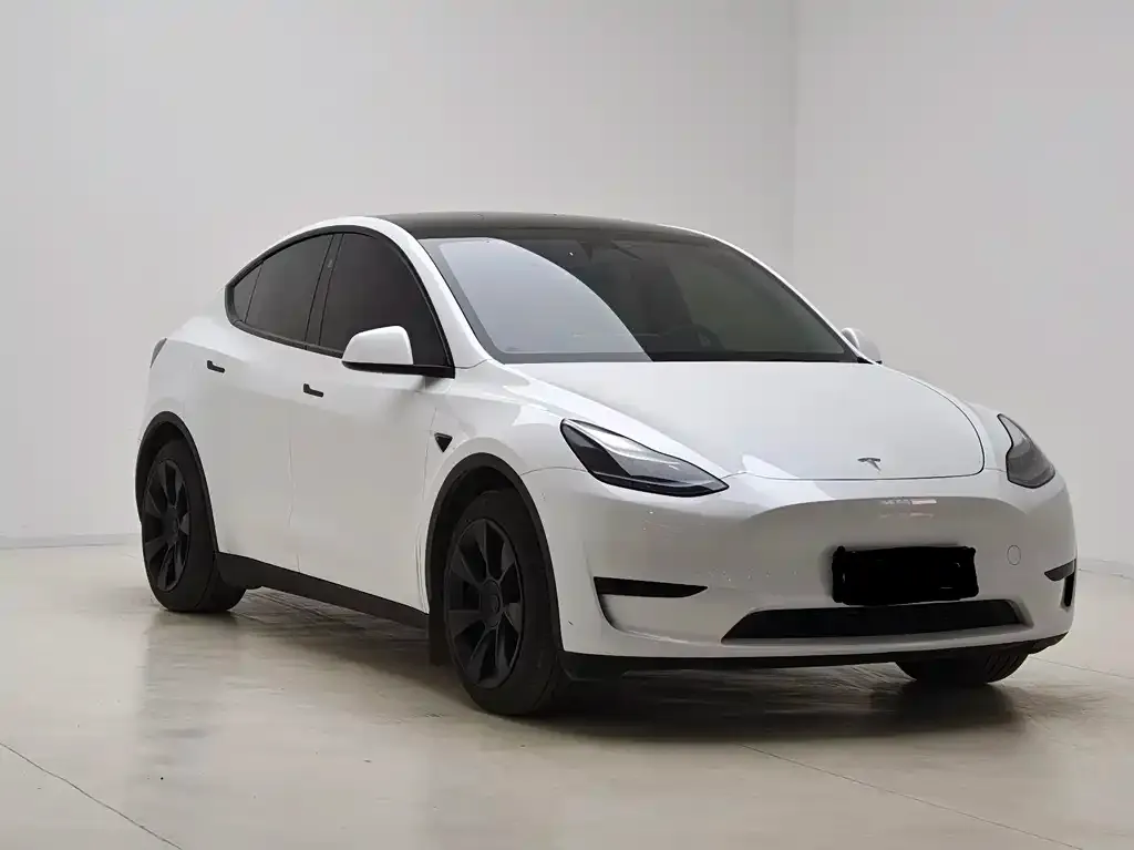 Tesla Model Y 2024 из CN, фото 8