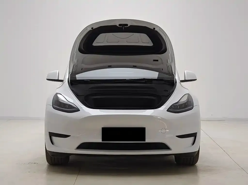 Tesla Model Y 2024 из CN, фото 2