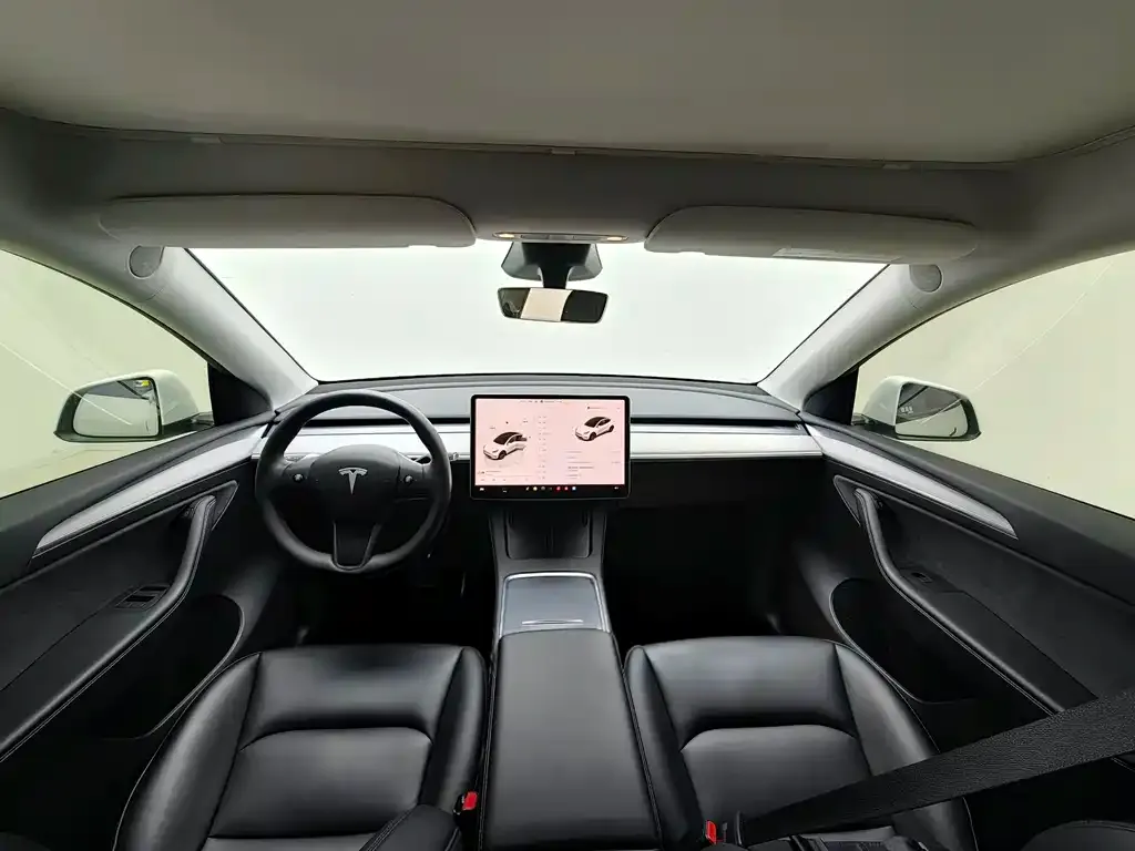 Tesla Model Y 2024 из CN, фото 7