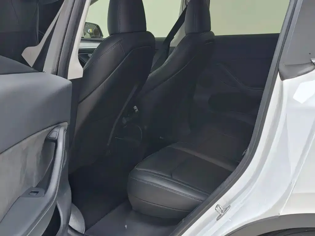 Tesla Model Y 2024 из CN, фото 4