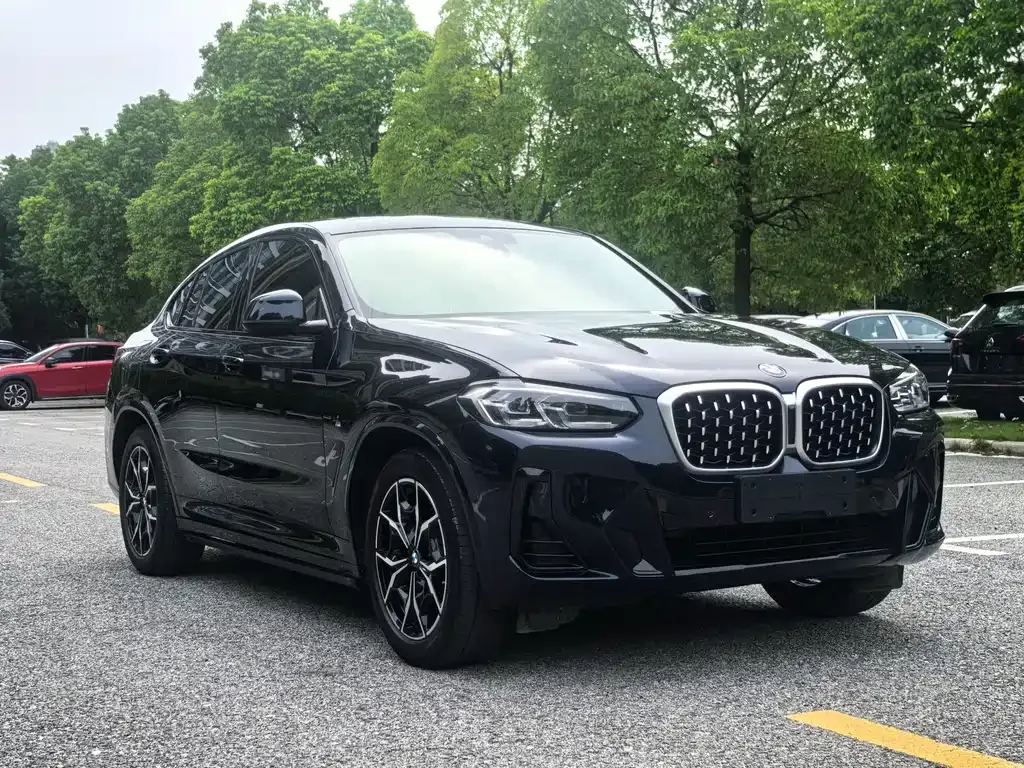 BMW X4 2023 из CN, фото 3