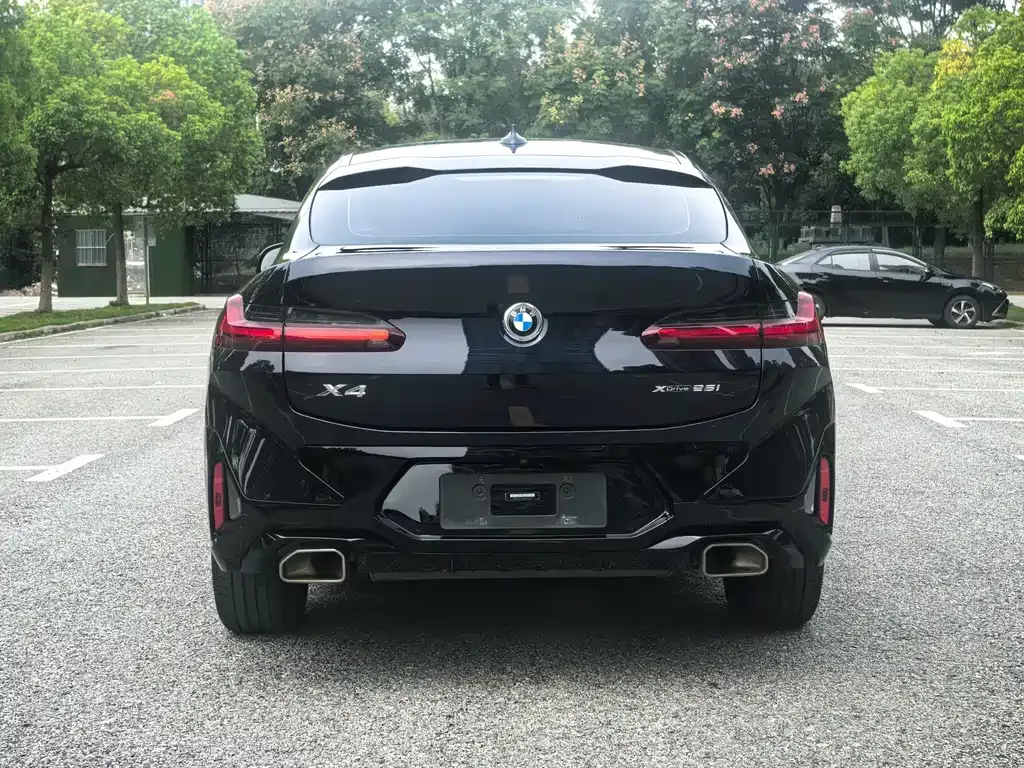 BMW X4 2023 из CN, фото 5