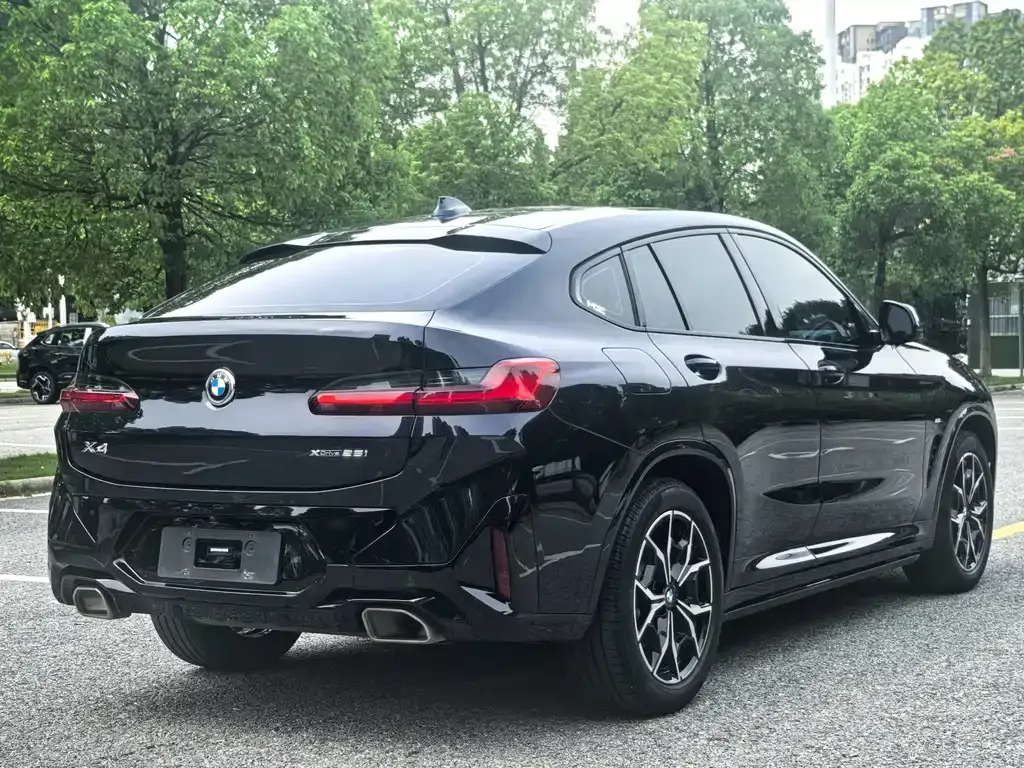 BMW X4 2023 из CN, фото 9