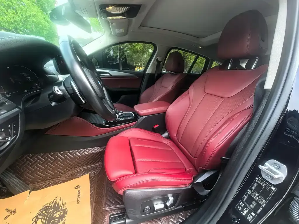 BMW X4 2023 из CN, фото 4