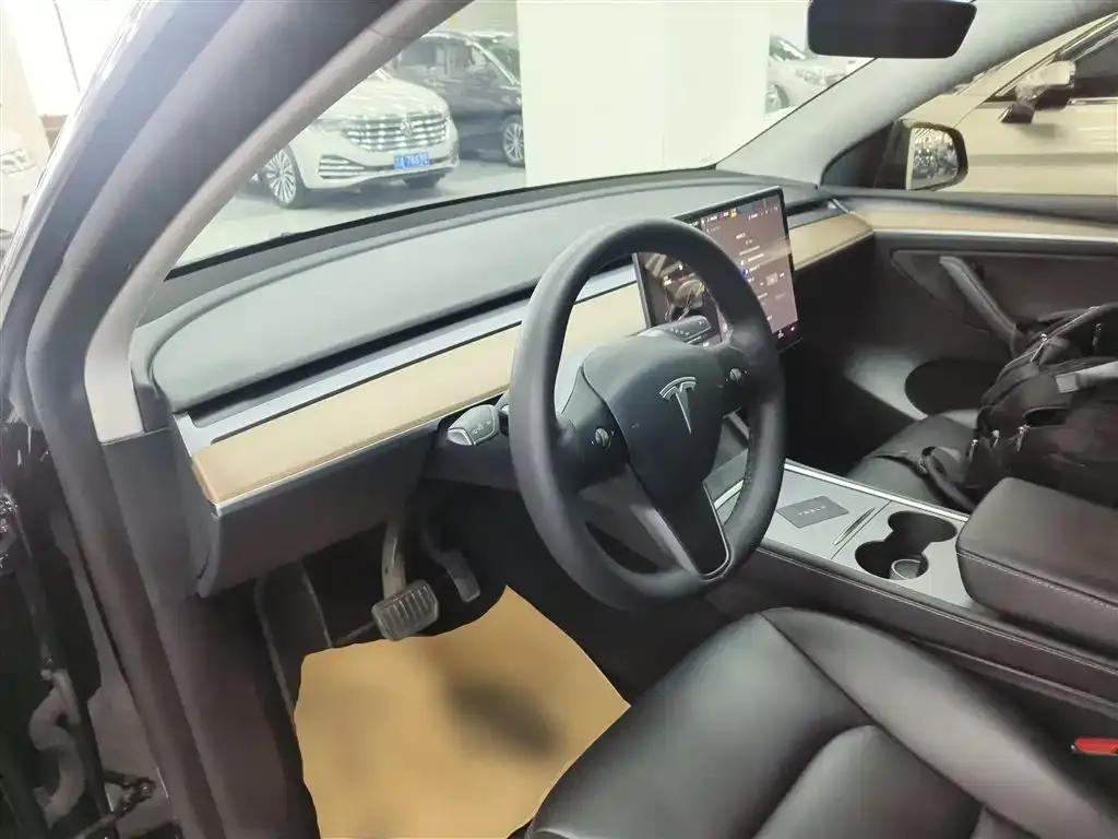 Tesla Model Y 2021 из CN, фото 8