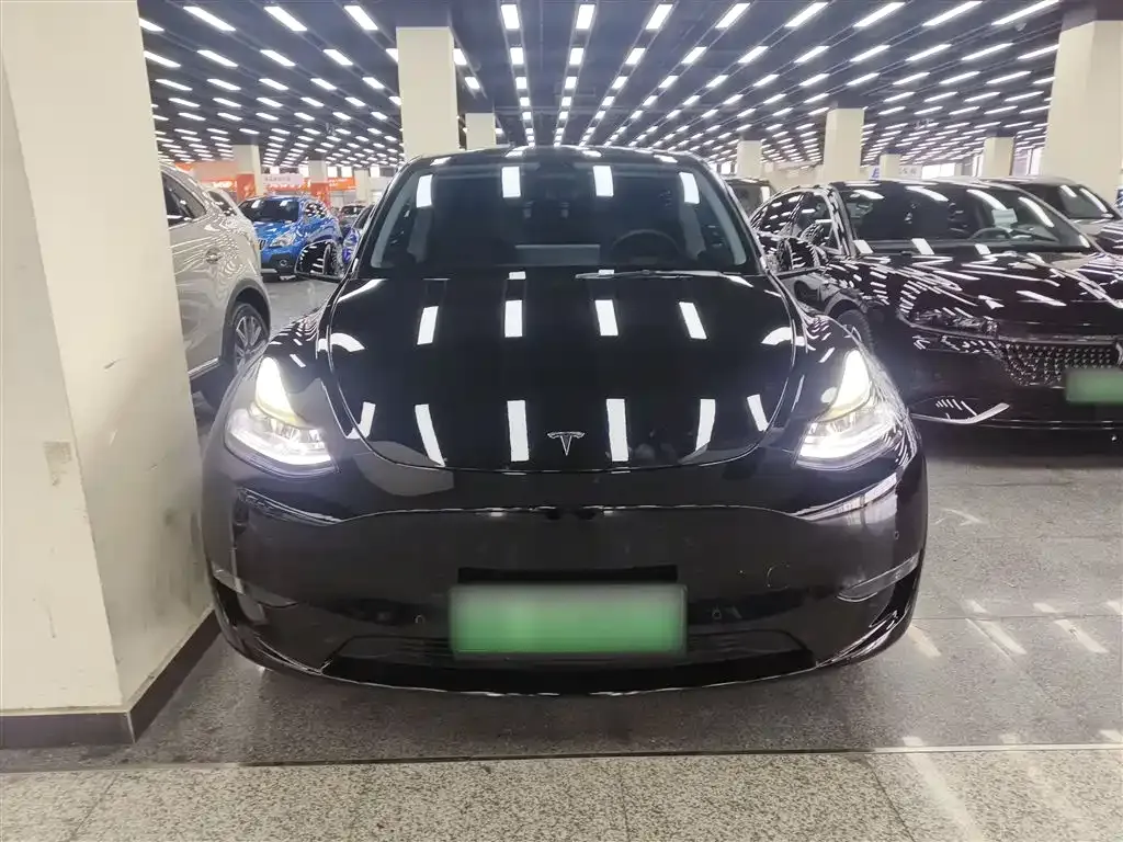 Tesla Model Y 2021 из CN, фото 3