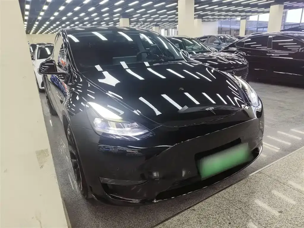 Tesla Model Y 2021 из CN, фото 5