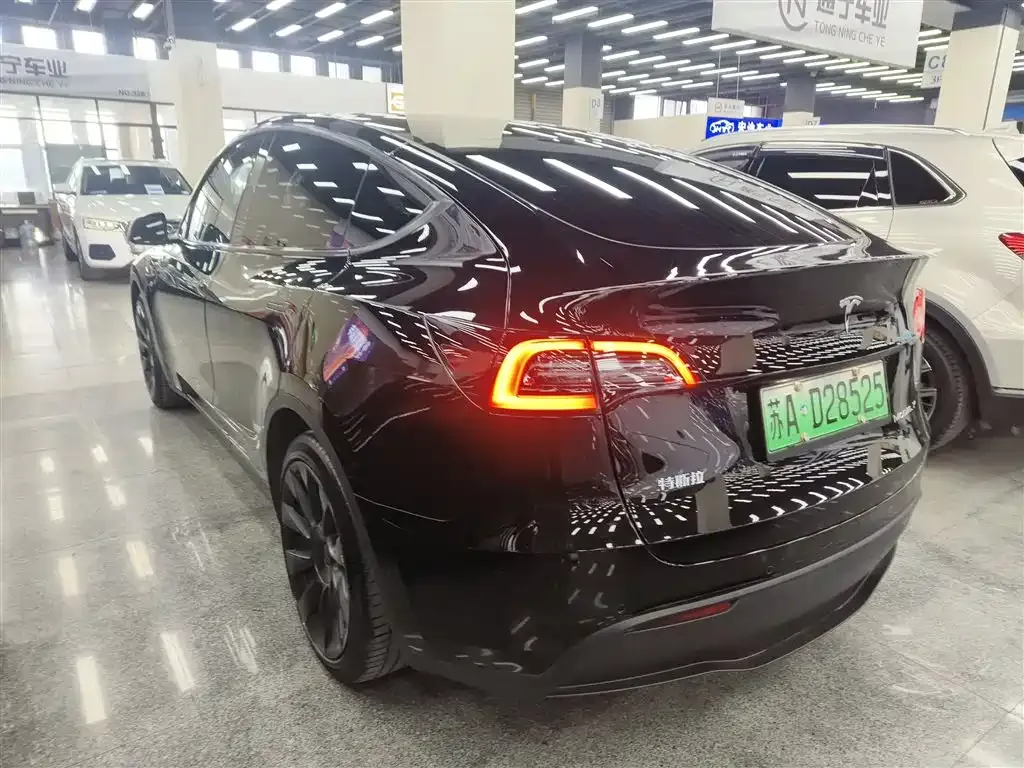 Tesla Model Y 2021 из CN, фото 6