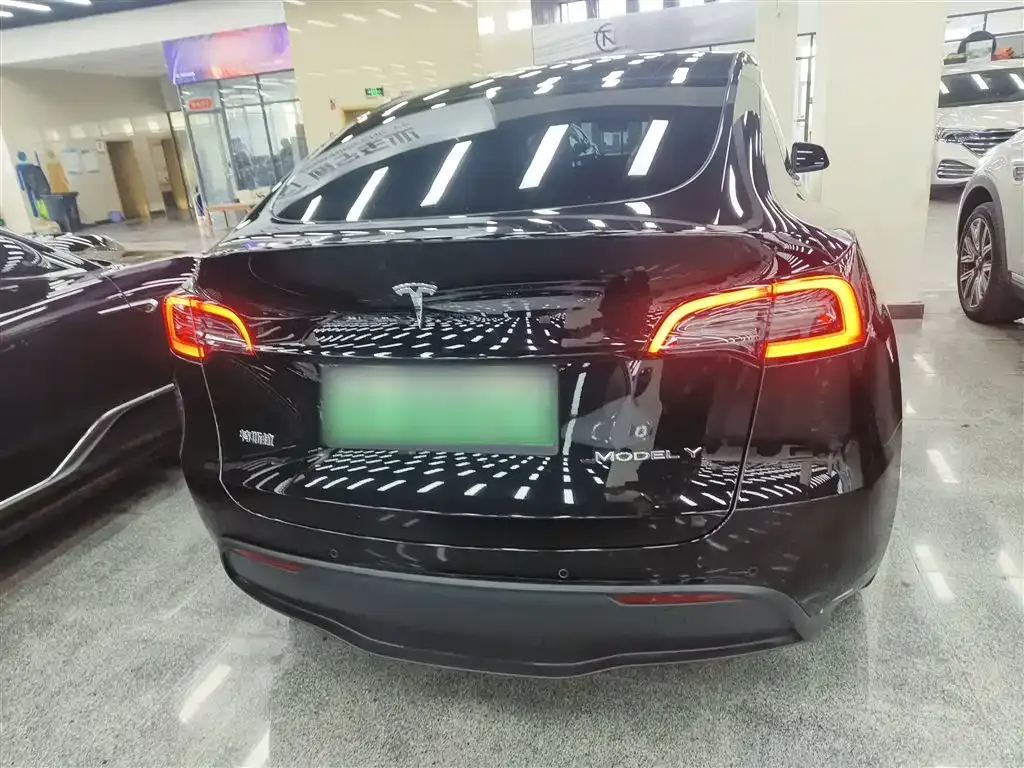 Tesla Model Y 2021 из CN, фото 9
