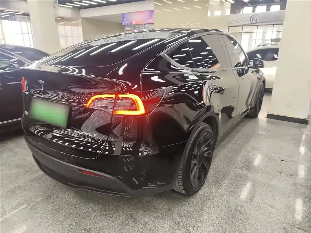 Tesla Model Y 2021 из CN, фото 4
