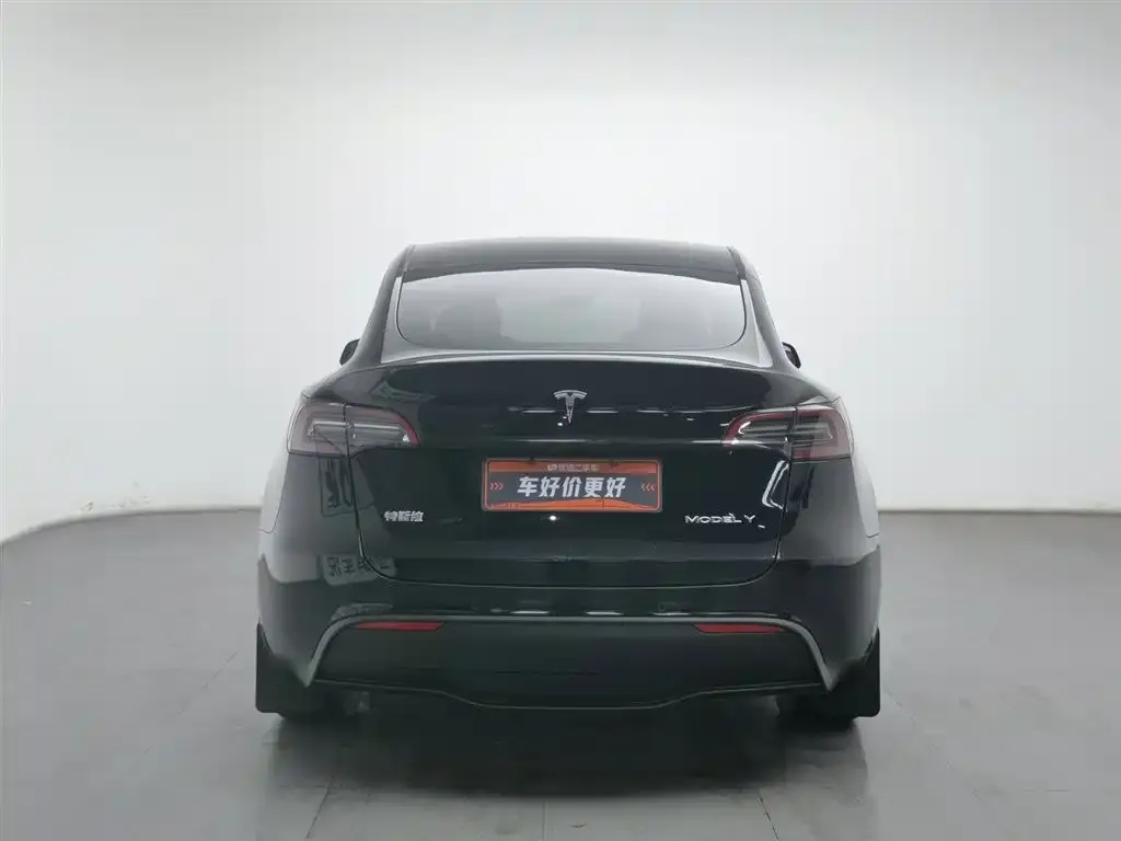 Tesla Model Y 2022 из CN, фото 6