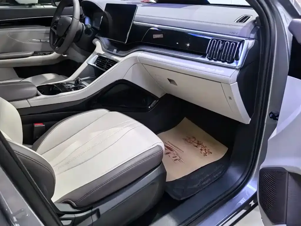BYD PLUS New Energy 2024 из CN, фото 3