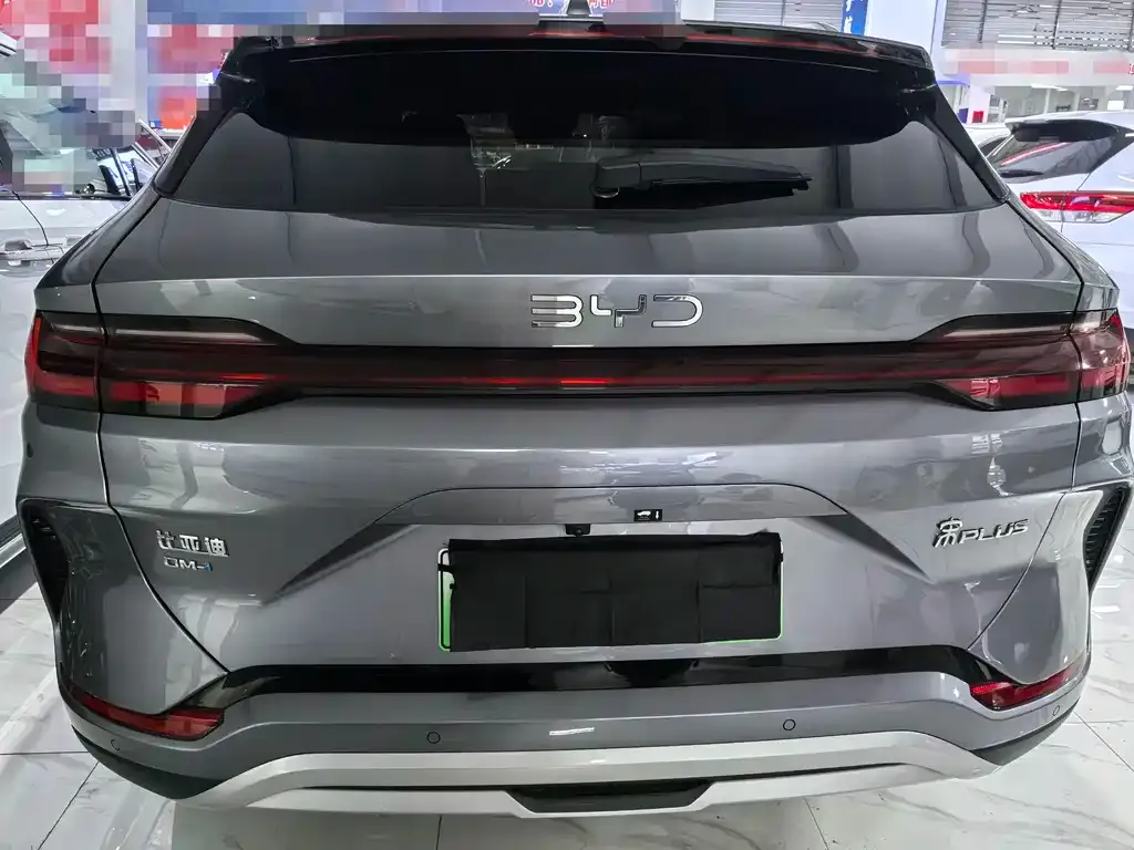 BYD PLUS New Energy 2024 из CN, фото 8