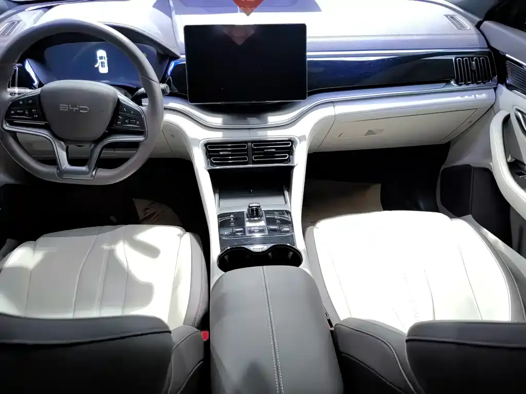 BYD PLUS New Energy 2024 из CN, фото 4