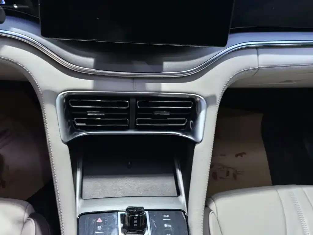 BYD PLUS New Energy 2024 из CN, фото 2