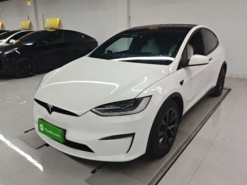 Tesla Model X 2023 из CN, фото 8