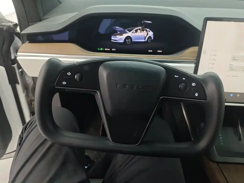 Tesla Model X 2023 из CN, фото 4