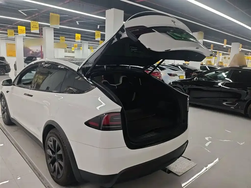 Tesla Model X 2023 из CN, фото 6