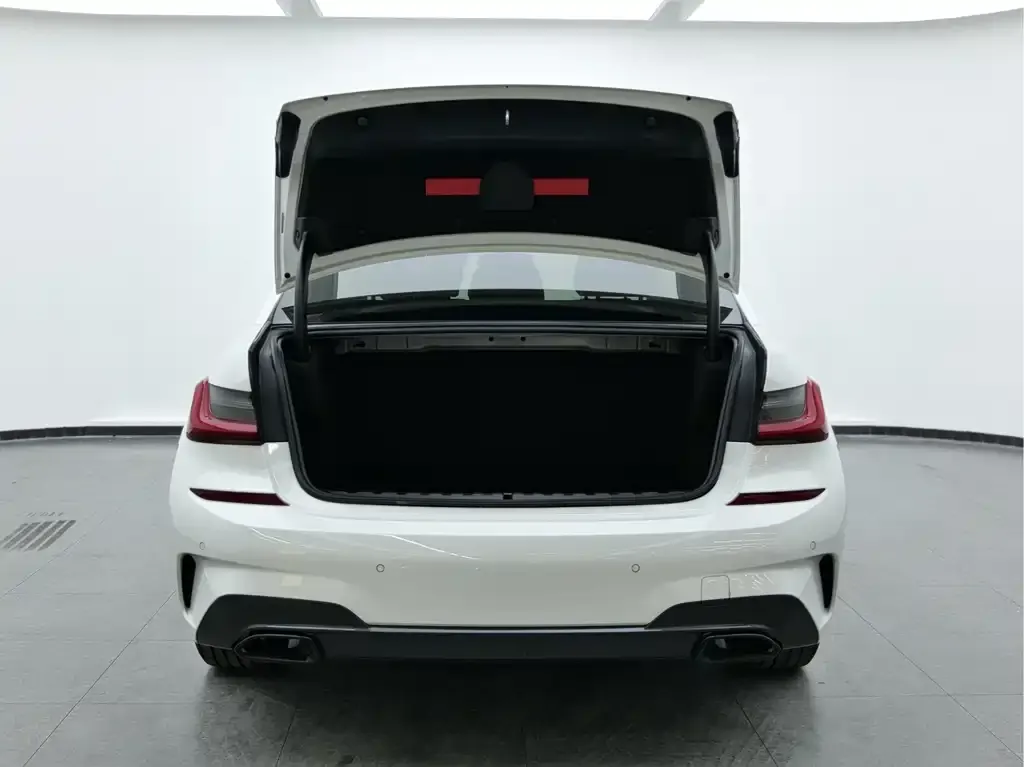 BMW 3 Series 2021 из CN, фото 7