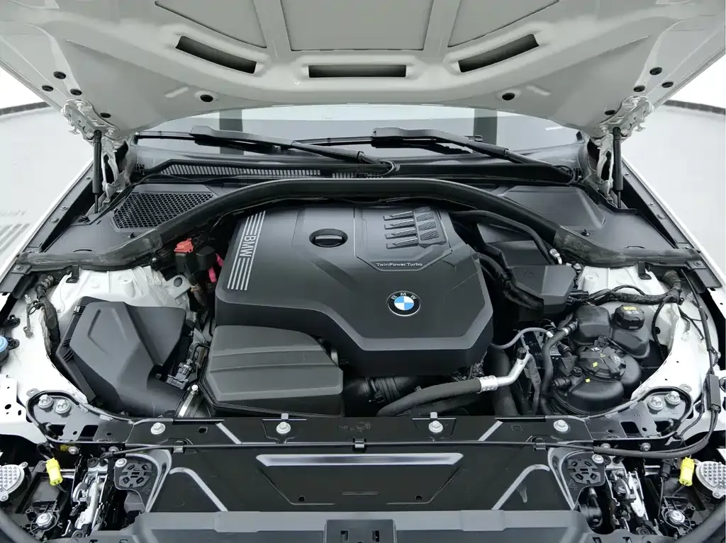 BMW 3 Series 2021 из CN, фото 10