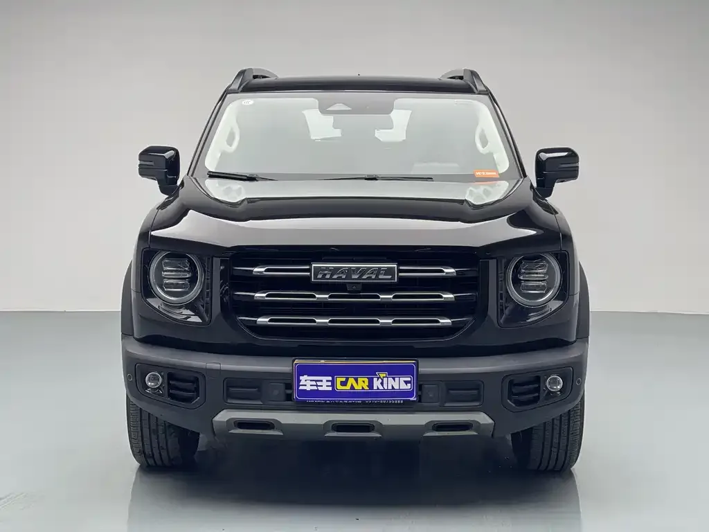 Haval Big Dog 2022 из CN, фото 7