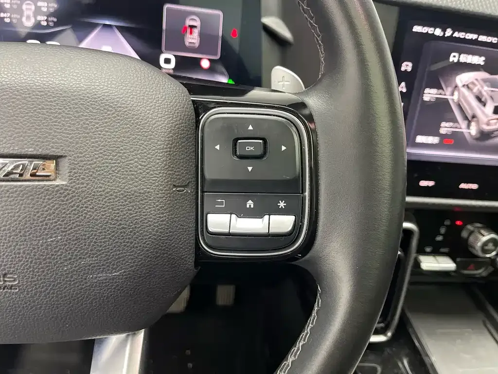 Haval Big Dog 2022 из CN, фото 9