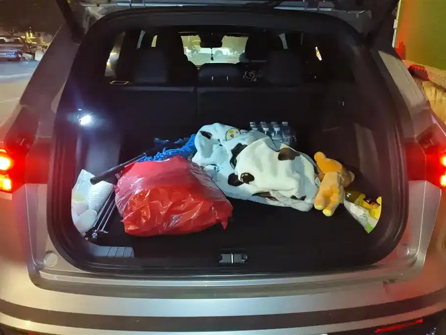 Geely Xingyue L 2024 из CN, фото 9