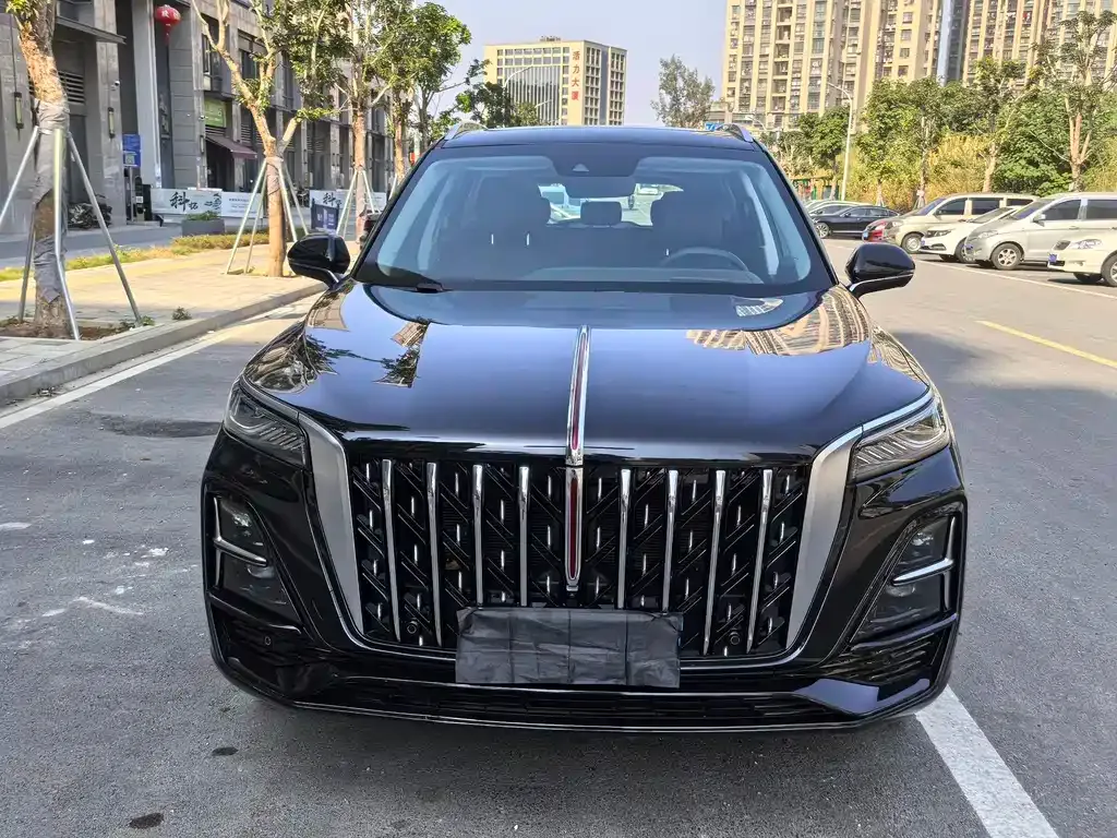Hongqi HS5 2023 из CN, фото 7