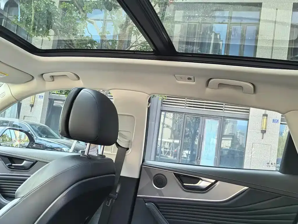 Hongqi HS5 2023 из CN, фото 2