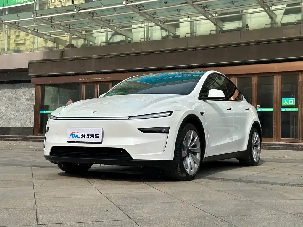 Tesla Model Y 2025 из CN, фото 1