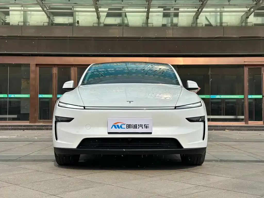 Tesla Model Y 2025 из CN, фото 9