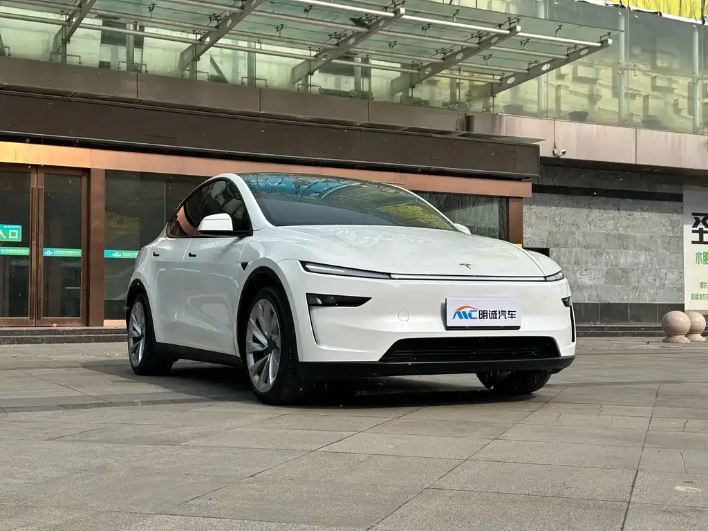Tesla Model Y 2025 из CN, фото 6