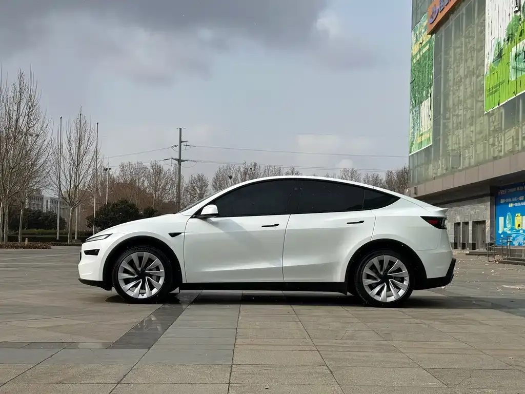 Tesla Model Y 2025 из CN, фото 2