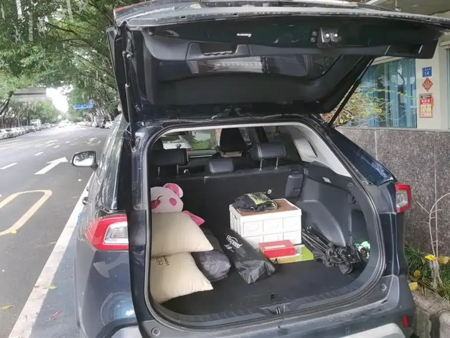 Toyota Wildlander 2021 из CN, фото 7