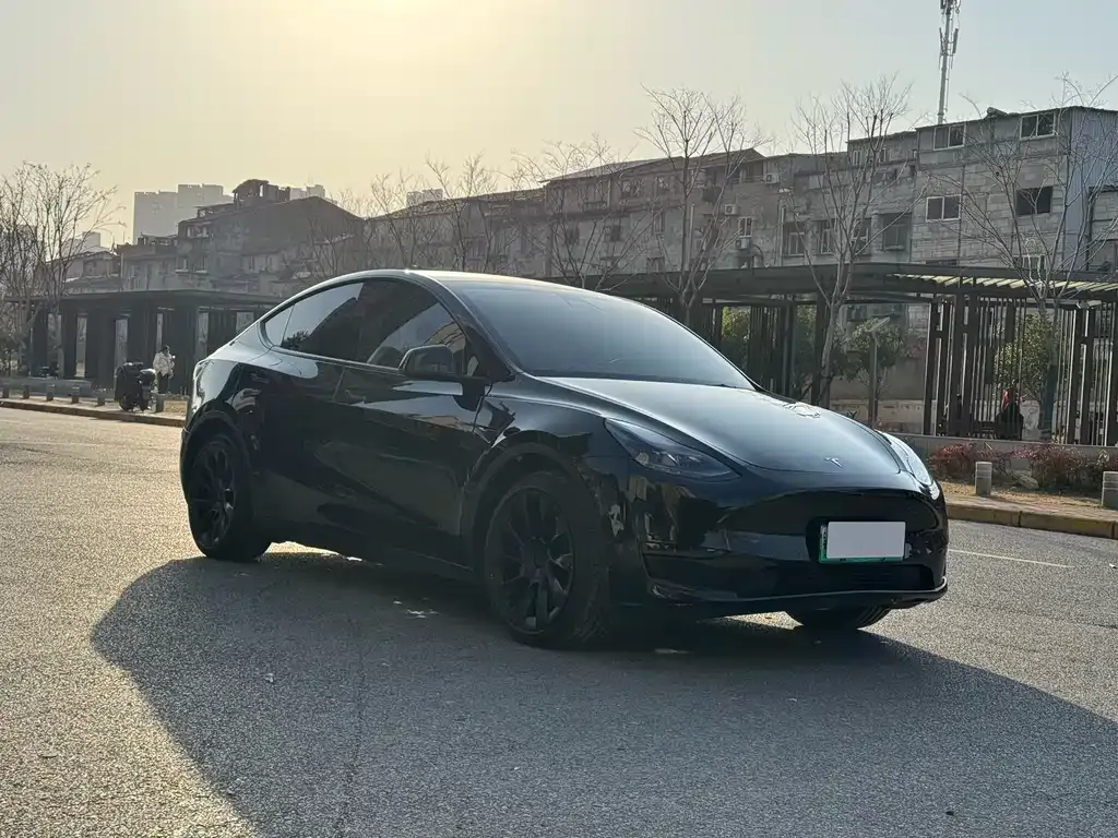 Tesla Model Y 2022 из CN, фото 9