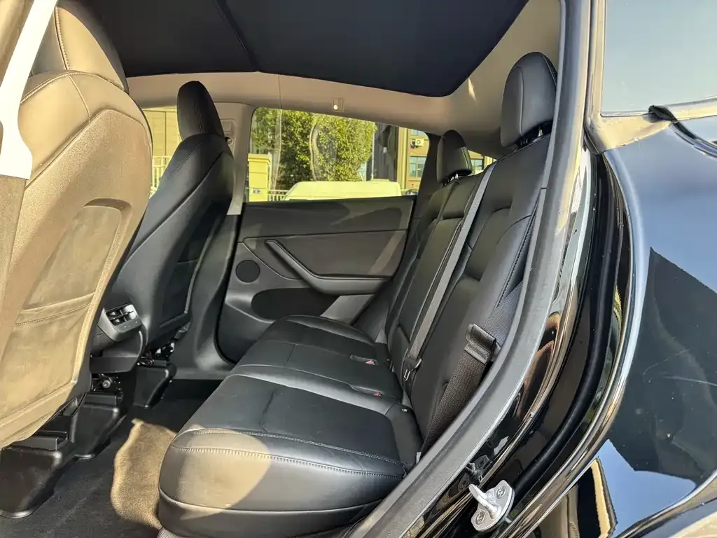 Tesla Model Y 2022 из CN, фото 6