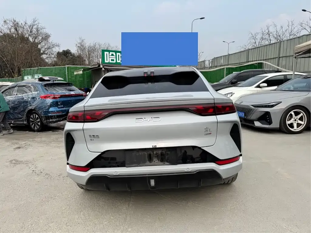 BYD L EV 2025 из CN, фото 2