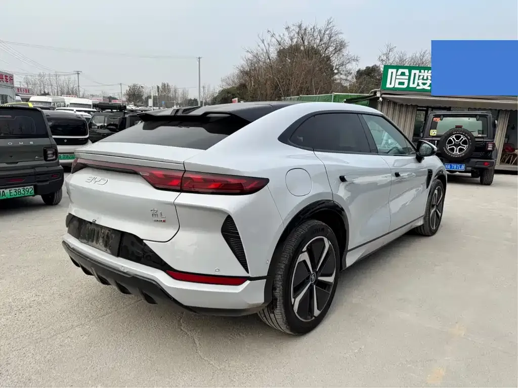 BYD L EV 2025 из CN, фото 5