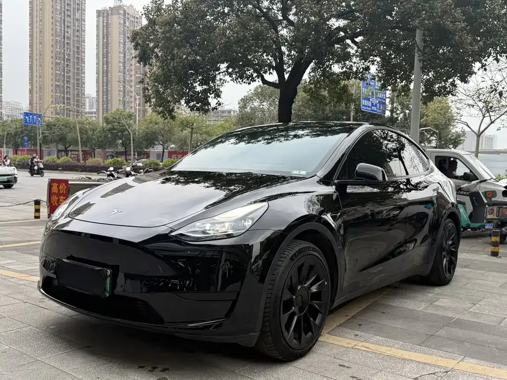 Tesla Model Y 2022 из CN, фото 1